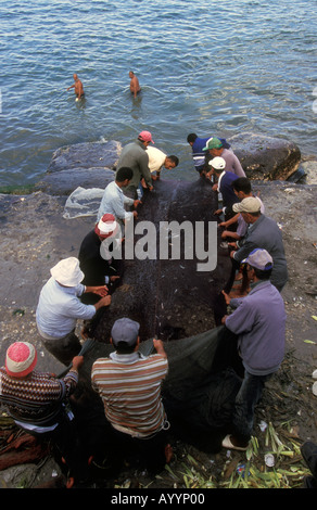 Fischer ziehen ihre Netze, Alexandria, Ägypten. Stockfoto