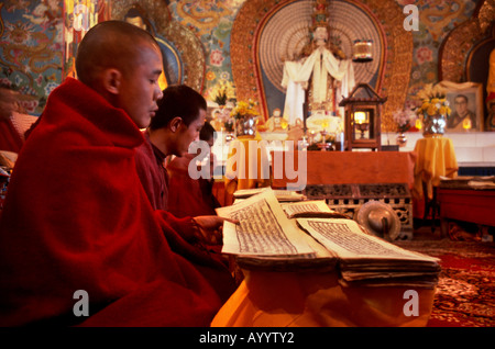 Mönche Gebet rezitieren Mantras auf ein Festival Tag an Aloobari Kloster, Darjeeling, West Benga, l Indien Stockfoto