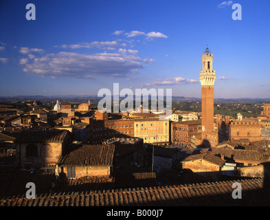 Piazza del Campo und Torre del Mangia Siena Toskana Italien Stockfoto