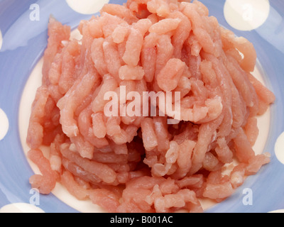 Frische, gesunde Schlanke Low Fat Raw Türkei Mince mit Keine Personen Stockfoto