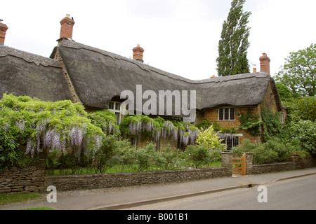 Oxfordshire wenig Tew Wisteria bekleideten Nr. Ofen Cottage Stockfoto