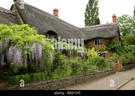 Oxfordshire wenig Tew Wisteria bekleideten Nr. Ofen Cottage Stockfoto