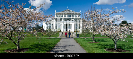 Die gemäßigten Haus Royal Botanical Gardens in Kew London England UK Stockfoto