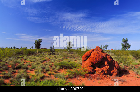 Termite Mound Pilbara Westaustraliens Stockfoto