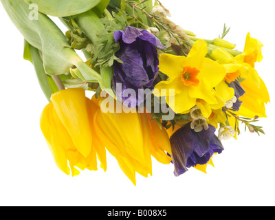 Frische helle Haufen oder das Bouquet von bunten Frühlingsblumen Isoliert gegen einen weißen Hintergrund mit Freistellungspfaden und keine Leute Stockfoto