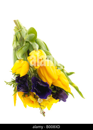 Frische helle Haufen oder das Bouquet von bunten Frühlingsblumen Isoliert gegen einen weißen Hintergrund mit Freistellungspfaden und keine Leute Stockfoto