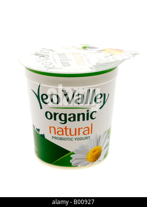 Natürliche Bio-Joghurt Stockfoto