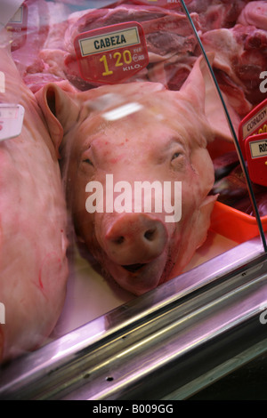 Schweine-Kopf auf einem Metzger Stand. Lebensmittel-Markt Mercat De La Boqueria, Barcelona, Spanien Stockfoto