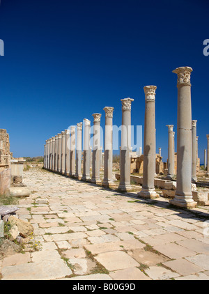 Antiken Säulen, Leptis Magna, Libyen, Nordafrika Stockfoto