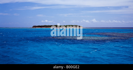 Lady Musgrave Island Capricornia Cays Nationalpark Great Barrier Reef-Queensland-Australien Stockfoto