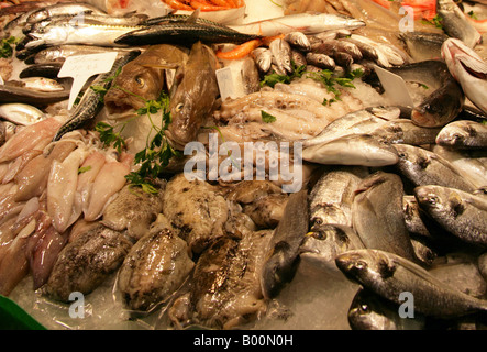 Fische und Krebstiere. Lebensmittel-Markt Mercat De La Boqueria, Barcelona, Spanien Stockfoto