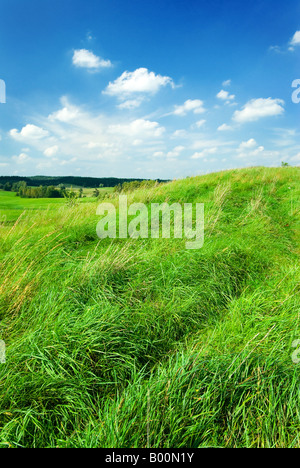 Gesättigt Sommer Landschaft - grüner Rasen auf dem Hügel. Masuren, Polen. Stockfoto