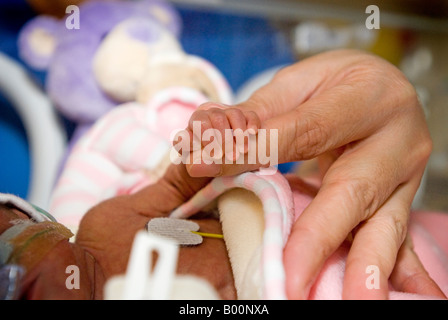 Vorzeitiges Baby hält die Finger von einer Hebamme auf einer Intensivstation Stockfoto