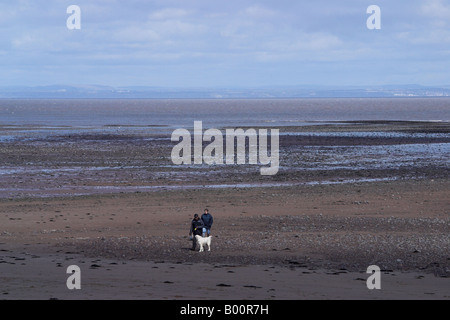 Menschen zu Fuß Hund auf Blue Anchor Beach. Somerset Stockfoto