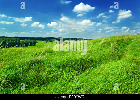 Gesättigt Sommer Landschaft - grüner Rasen auf dem Hügel. Masuren, Polen. Stockfoto