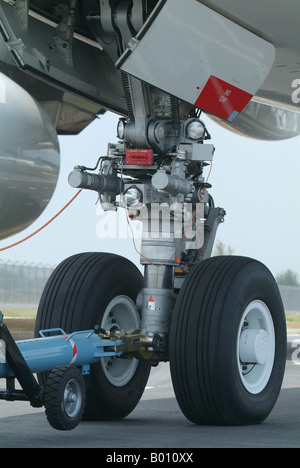 Nase vorne Radlandegestell des Airbus A380 Stockfoto