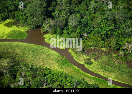 Peru, Amazonas, Amazonas. Luftaufnahme des Regenwaldes in der Nähe von Iquitos. Stockfoto