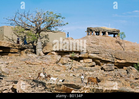 Mali, Dogonland. Eine Szene in der Nähe von Sangha, eine attraktive Dogon-Dorf zwischen den Felsen auf dem Bandiagara-Steilhang gebaut. Stockfoto