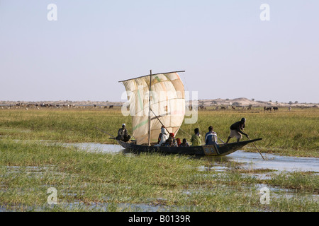 Mali, Niger-Binnendelta. Unterstützt durch eine grobe Segel, Polen ein Fährmann eine Piroge voller Passagiere durch einen grasbewachsenen Kanal. Stockfoto