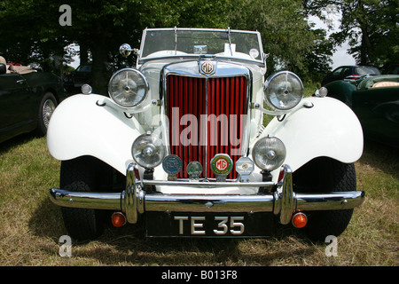 Weißen MG Sportwagen 50er Motorhaube. Chromstoßstange, roten Kühlergrill, Scheinwerfer. Horizontale Stockfoto