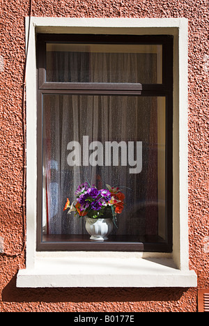 Fenster mit Blumen in Cork Irland Stockfoto