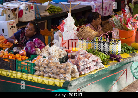 Bio tropische Insel-Markt auf den Seychellen Stockfoto