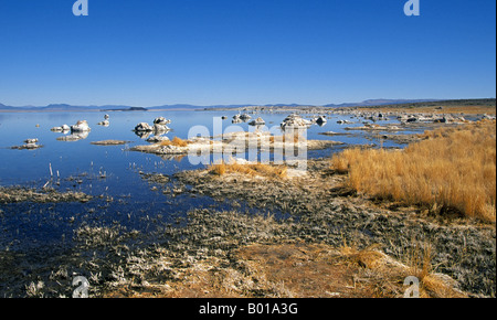 Eine Ansicht des Mono Lake ein Mineral gefüllt Gewässer in der Wüste am östlichen Fuße der Berge der Sierra Nevada Stockfoto