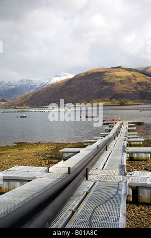 Marine Harvest Schottlands Loch Leven Fish Farm; Salmon Farm Kinlochleven, Schottland, Großbritannien Stockfoto