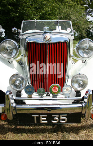 Weißen MG Sportwagen 50er Motorhaube. Chromstoßstange, roten Kühlergrill, Scheinwerfer. Vertikal Stockfoto