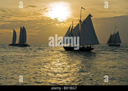 Segelboote jagen Sonnenuntergang direkt am Mallory Square, Key West, Florida Stockfoto