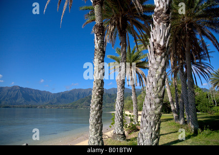 Kualoa Strandpark Windward Oahu Hawaii Stockfoto