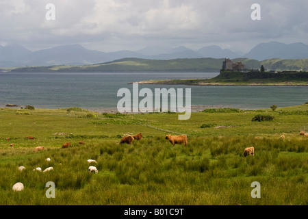 Duart Castle auf der Isle of Mull, Schottland Stockfoto