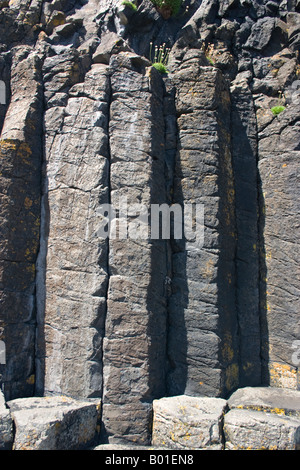 Basaltsäulen auf Insel von Staffa, Schottland Stockfoto