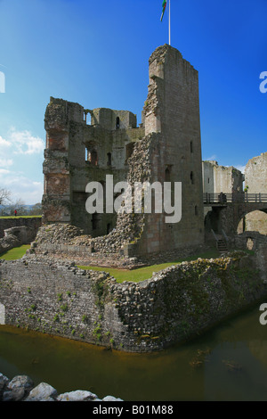 Der große Turm von Raglan Castle Monmouthshire Wales UK Stockfoto