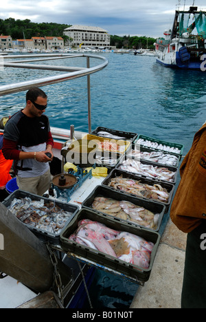 Fang des Tages direkt vom Boot. Makarska, Kroatien Stockfoto