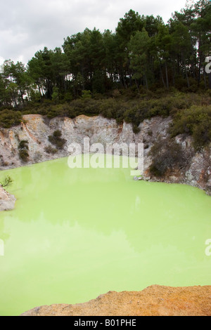 See Ngakoro Wai O Tapu Thermalgebiet New Zealand Stockfoto