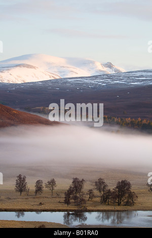 Inversionsschicht nach kalter, atmosphärischer Aprilmorgendnebel Mar Lodge Estate, Braemar, Dee Valley, Cairngorms National Park, Schottland, Großbritannien Stockfoto