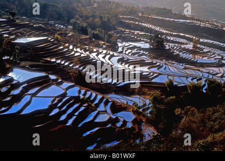 Yuanyang County Reisterrassen von Hani-Nationalität in der südwestlichen Provinz Yunnan gebaut Stockfoto