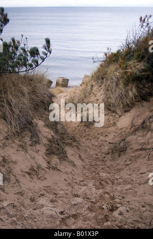 Sanddünen Stockfoto