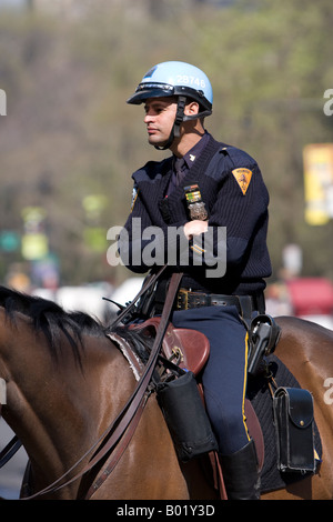 Ein NYPD Offizier auf dem Rücken eines Pferdes in der Nähe von Central Park New York City. Stockfoto