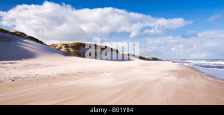 Sand in den Dünen von Druridge Bay an der Northumbrian Küste, Northumberland, England geblasen Stockfoto