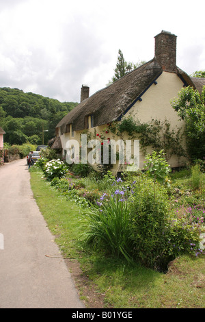 Somerset Selworthy Reetdachhaus Stockfoto
