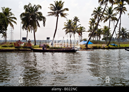 Indien ALLEPPEY große Herde von domestizierten Enten Anas Platyrhynchos ins Wasser auf einem der Kanäle in den Backwaters von Kerala Stockfoto