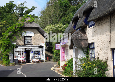 Teestube und Shop in Godshill Isle Of Wight England Stockfoto