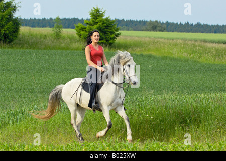 Junge Dame auf einem Paso Fino Pferd Reiten Stockfoto