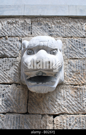 Geschnitzten Stein Tierkopf in Mauer bei Shaolin buddhistischen Kloster Tempel Henan Provinz Dengfeng Shaolin China Asien Stockfoto