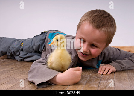 Stock Foto von einem Baby Gosling und ein kleiner Junge auf dem Boden zusammen spielen Stockfoto