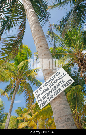 Warnschild am Kokosnuss-Palmen Stockfoto