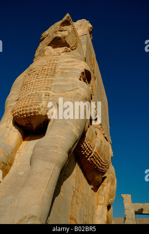 Basrelief in Persepolis, Iran. Gesamtansicht des Standortes. Stockfoto