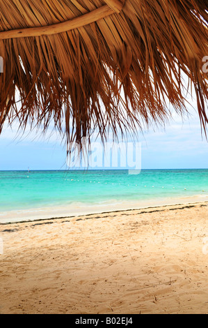 Ansicht unter Palm verlässt Unterschlupf auf einer karibischen Insel tropischen Strand Stockfoto